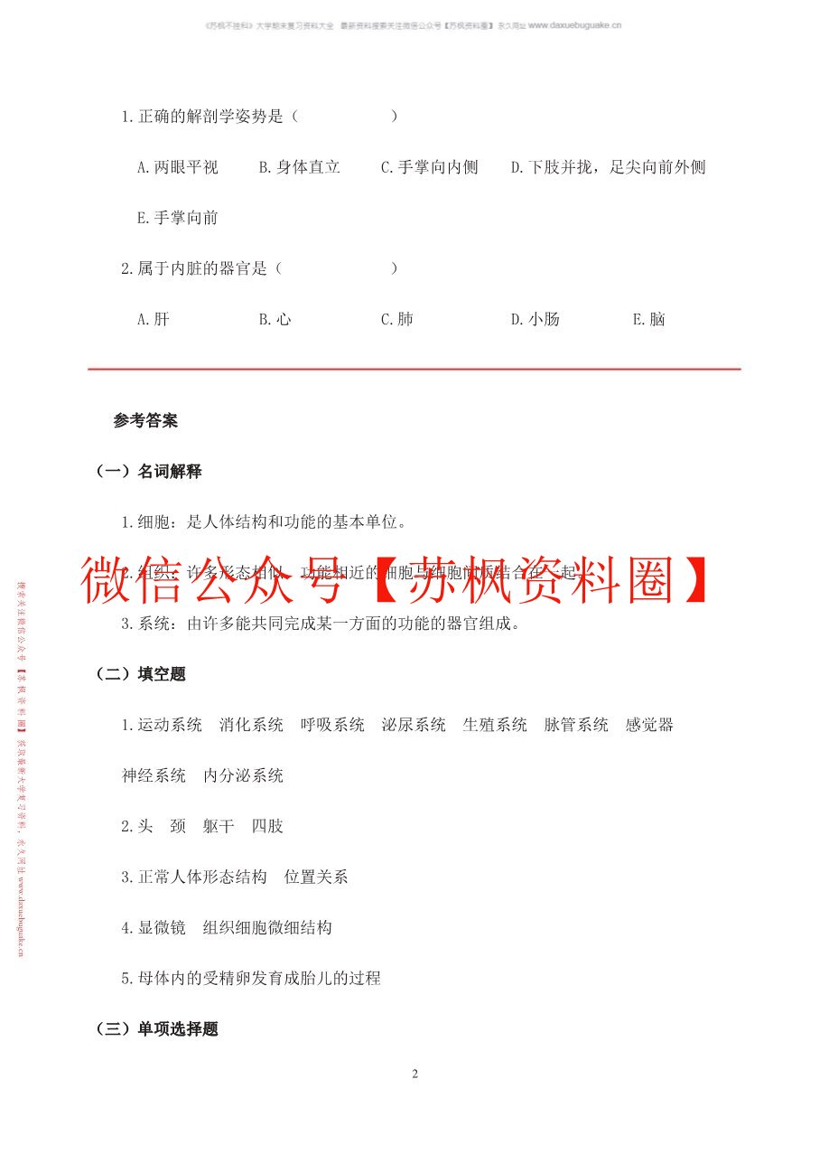 人体形态学